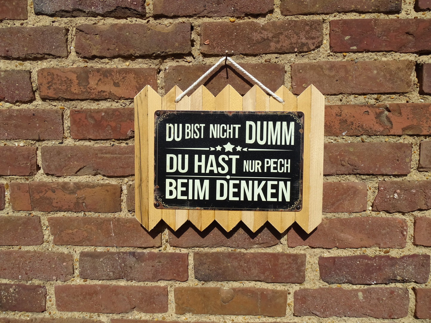 Du bist nicht Dumm, du hast nur Pech beim Denken - Personalisiertes Blechschild auf Altholz