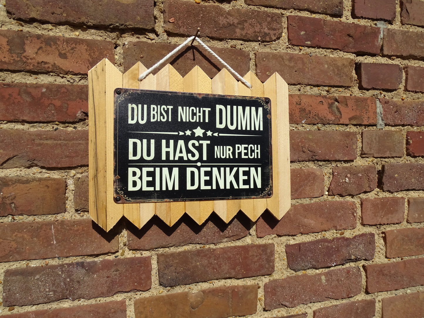 Du bist nicht Dumm, du hast nur Pech beim Denken - Personalisiertes Blechschild auf Altholz