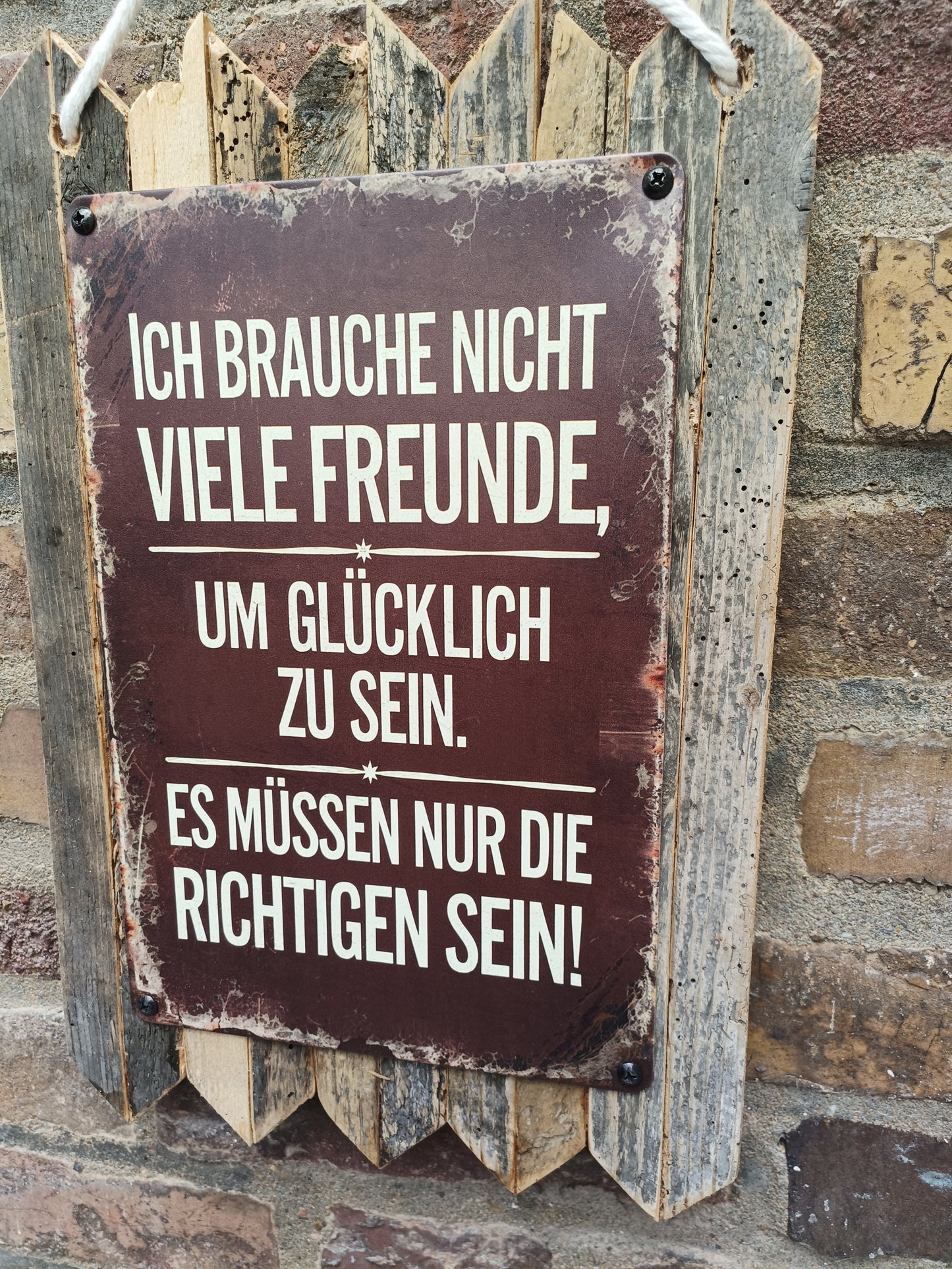 Blechschild " Ich brauche nicht viele Freunde " Handgefertigt auf Altholz