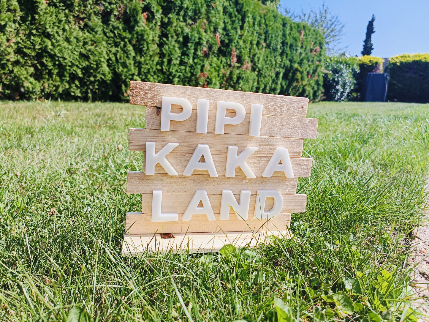 Bad-Schild | Pipi Kaka Land | Spruch Schild | WC | lustiges Altholz-Schild für Bad & WC