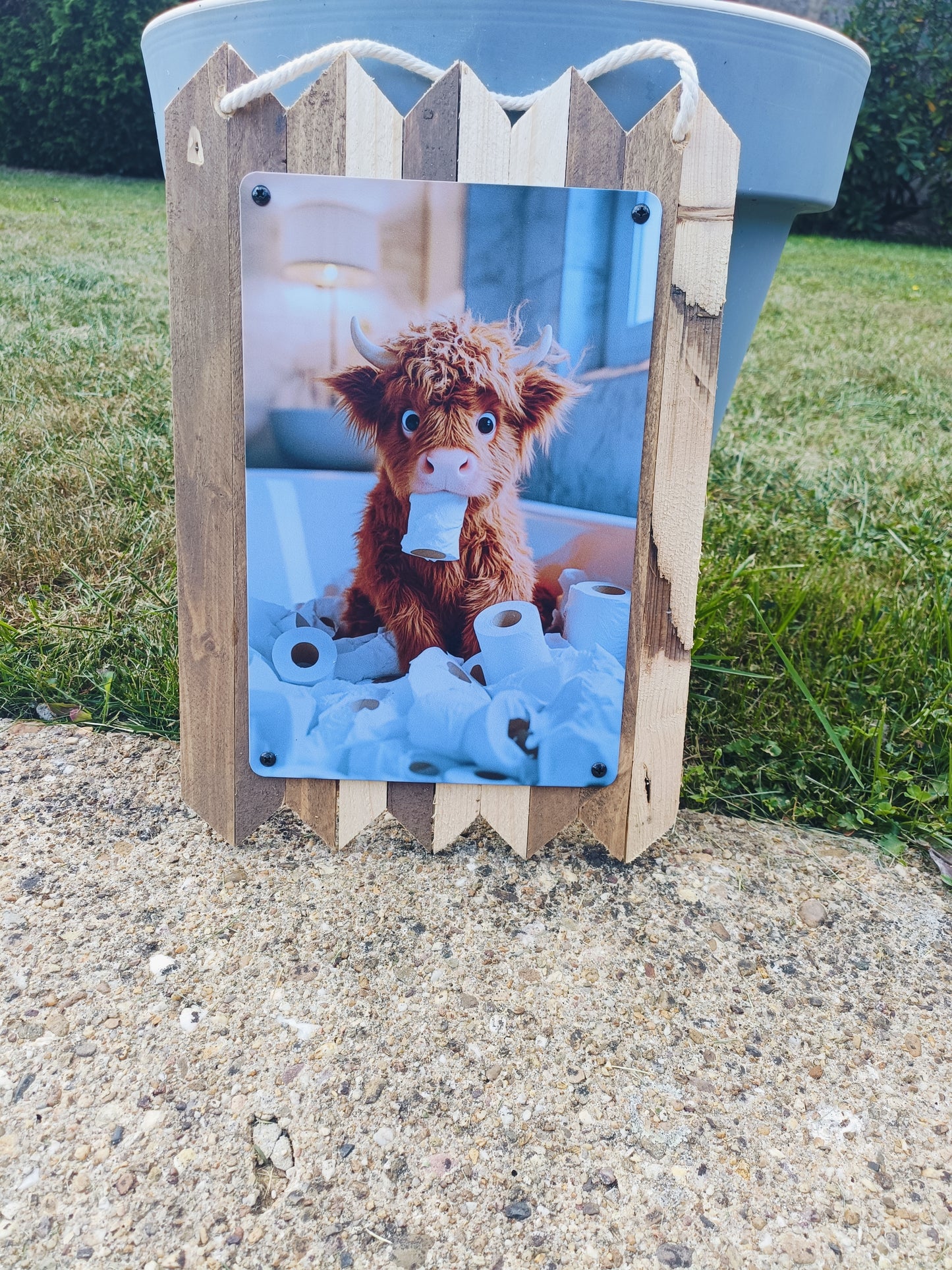 Blechschild Highland Rind mit Klopapierrolle – Lustige WC Deko, Handmade Wandschild