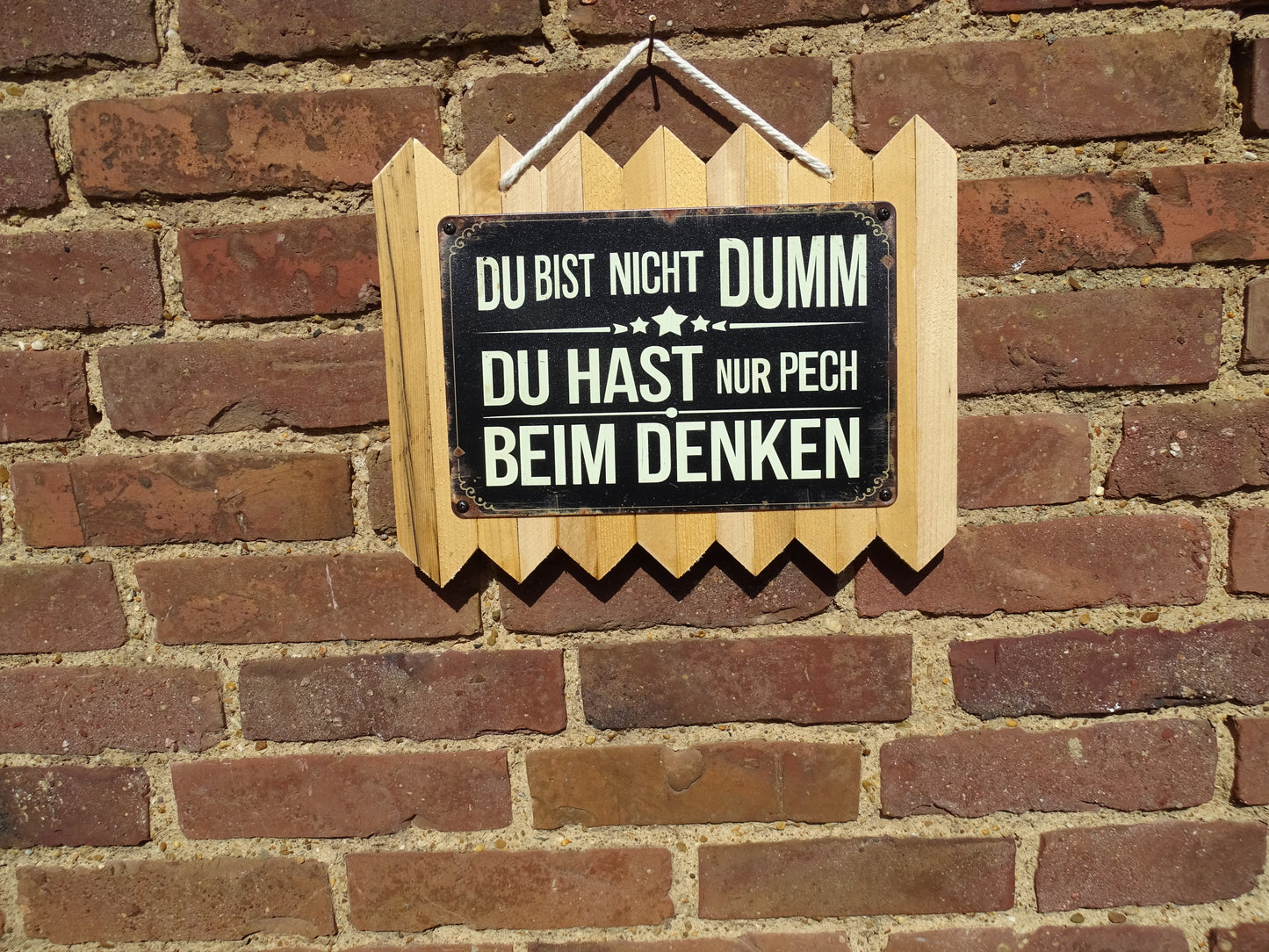 Du bist nicht Dumm, du hast nur Pech beim Denken - Personalisiertes Blechschild auf Altholz