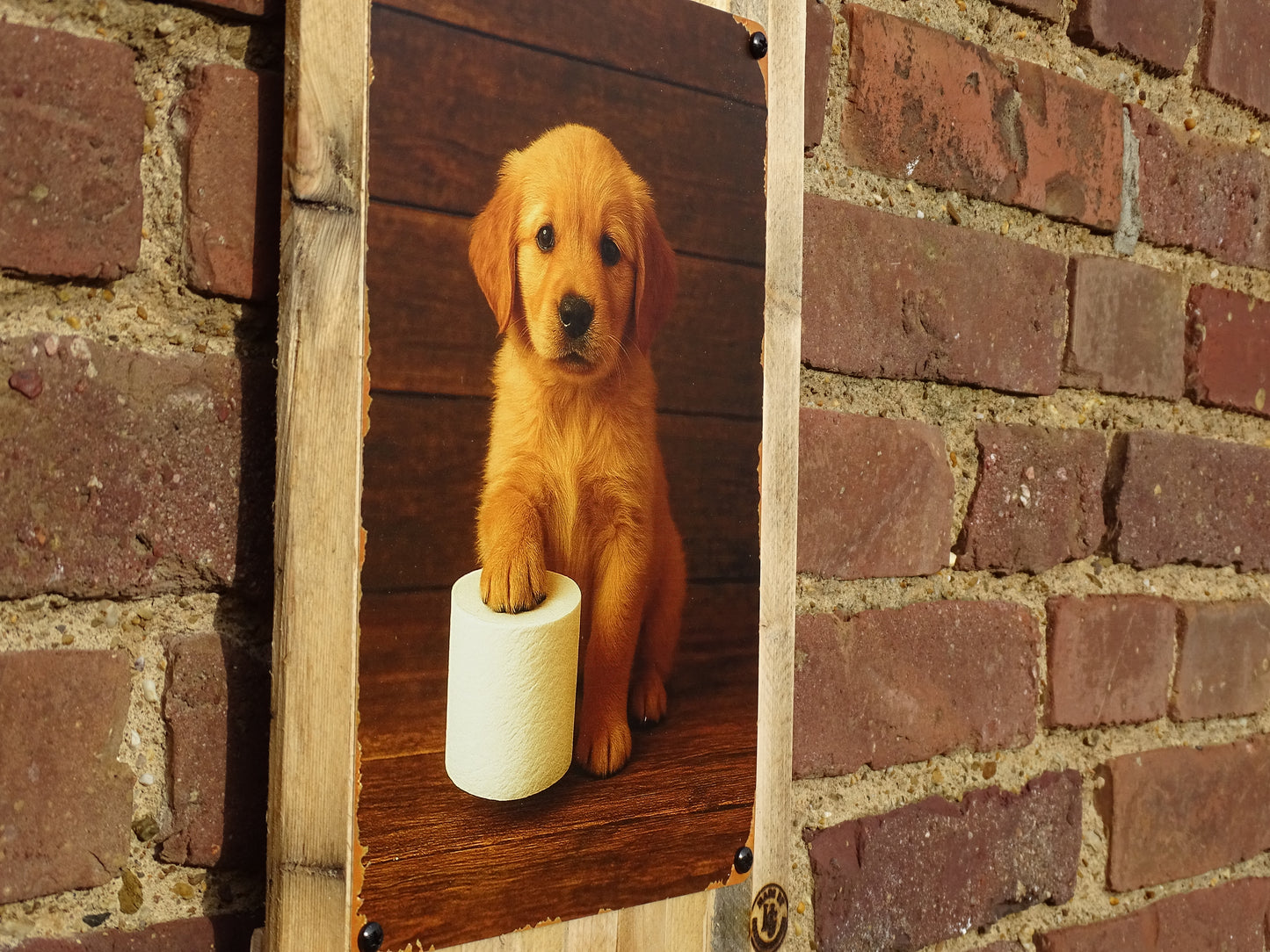 Hunde Blechschild Witzige Hunde Dekoration für Bad & WC Deko auf Altholz  35 x 25 cm