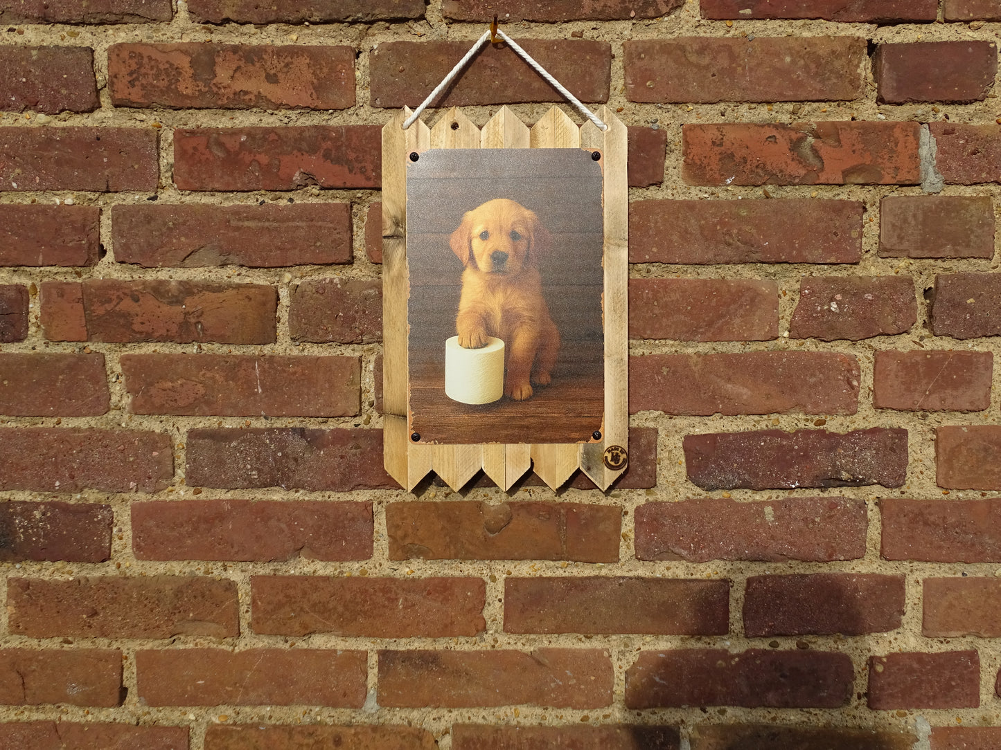 Hunde Blechschild Witzige Hunde Dekoration für Bad & WC Deko auf Altholz  35 x 25 cm