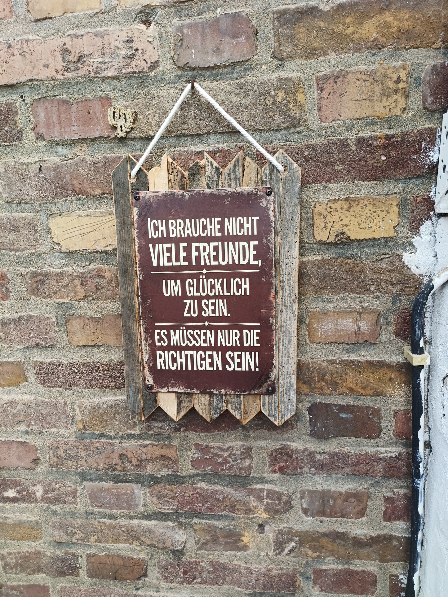 Blechschild " Ich brauche nicht viele Freunde " Handgefertigt auf Altholz