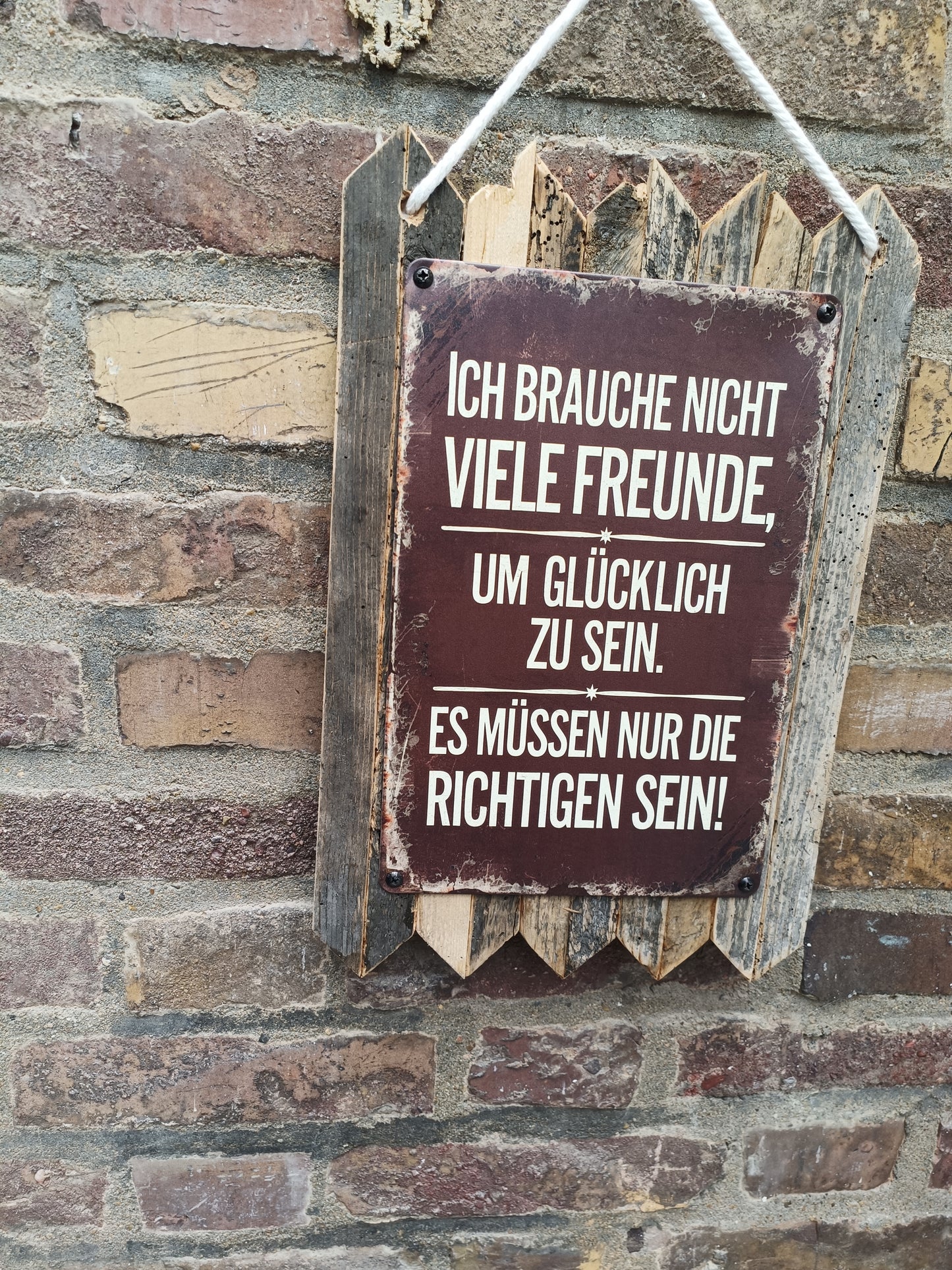 Blechschild " Ich brauche nicht viele Freunde " Handgefertigt auf Altholz