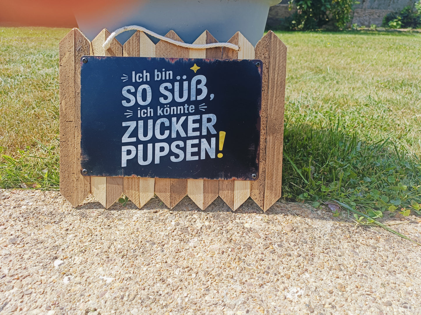 Blechschild „Ich bin so süß, ich könnte Zucker pupsen, auf Altholz