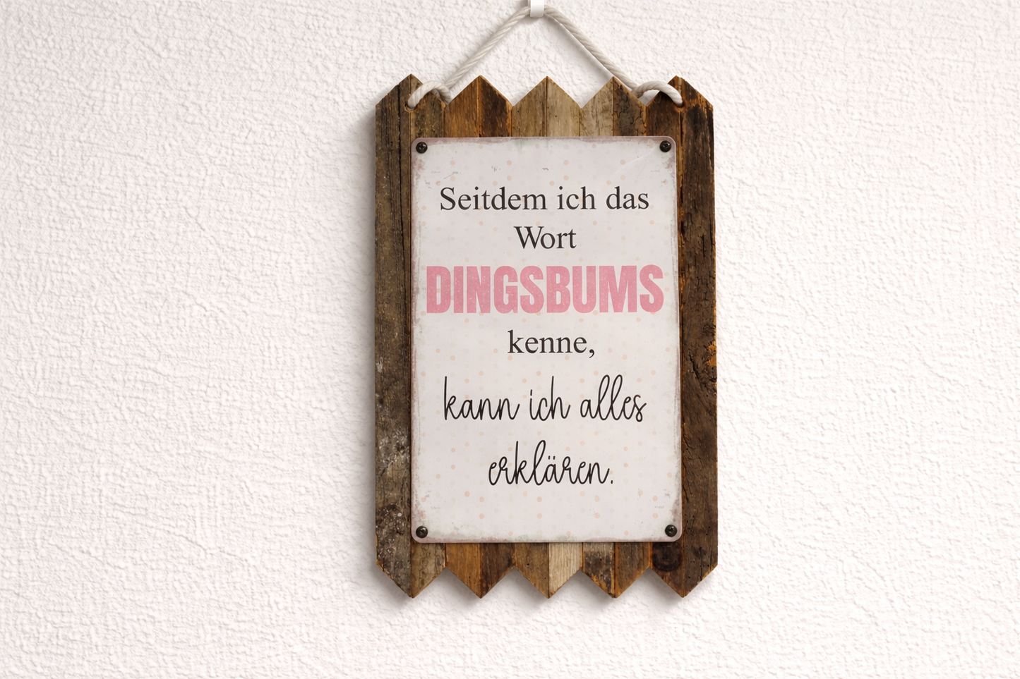 Blechschild Spruch Seitdem ich das Wort Dingsbums kenne kann ich alles erklären
