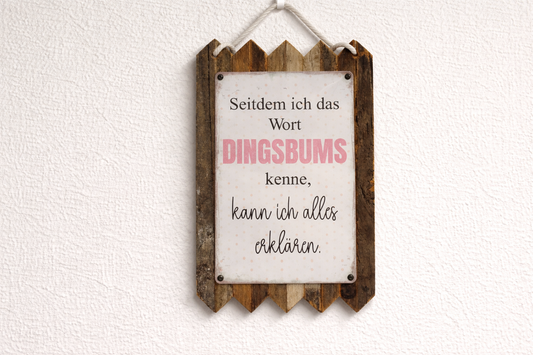 Blechschild Spruch Seitdem ich das Wort Dingsbums kenne kann ich alles erklären